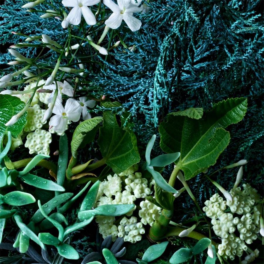 Molton-Brown Coastal Cypress & Sea Fennel Jubiläumsangebot