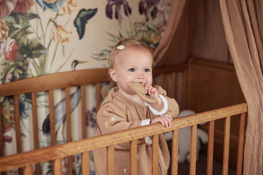 Jollein Beißring Naturkautschuk Teddy Bear Biscuit JETZT KAUFEN