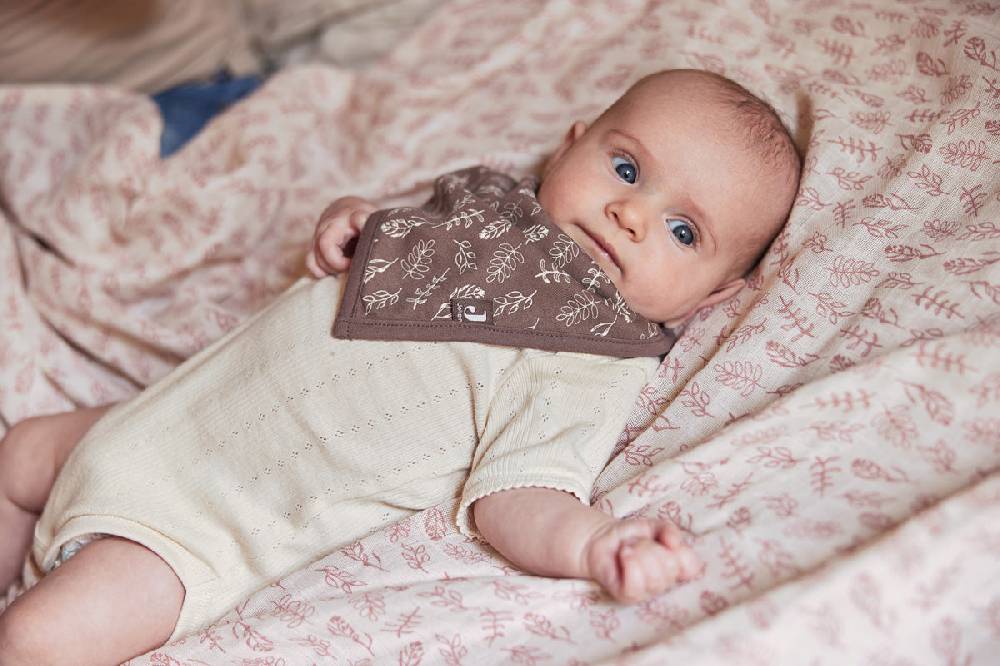 Jollein Lätzchen Bandana Meadow Chestnut (2pack) Lagerräumung