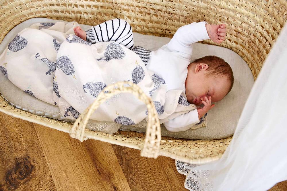 Lässig Mulltücher (3 Stk) - Heavenly Soft Swaddle L, Little Water Whale Blitzverkäufe