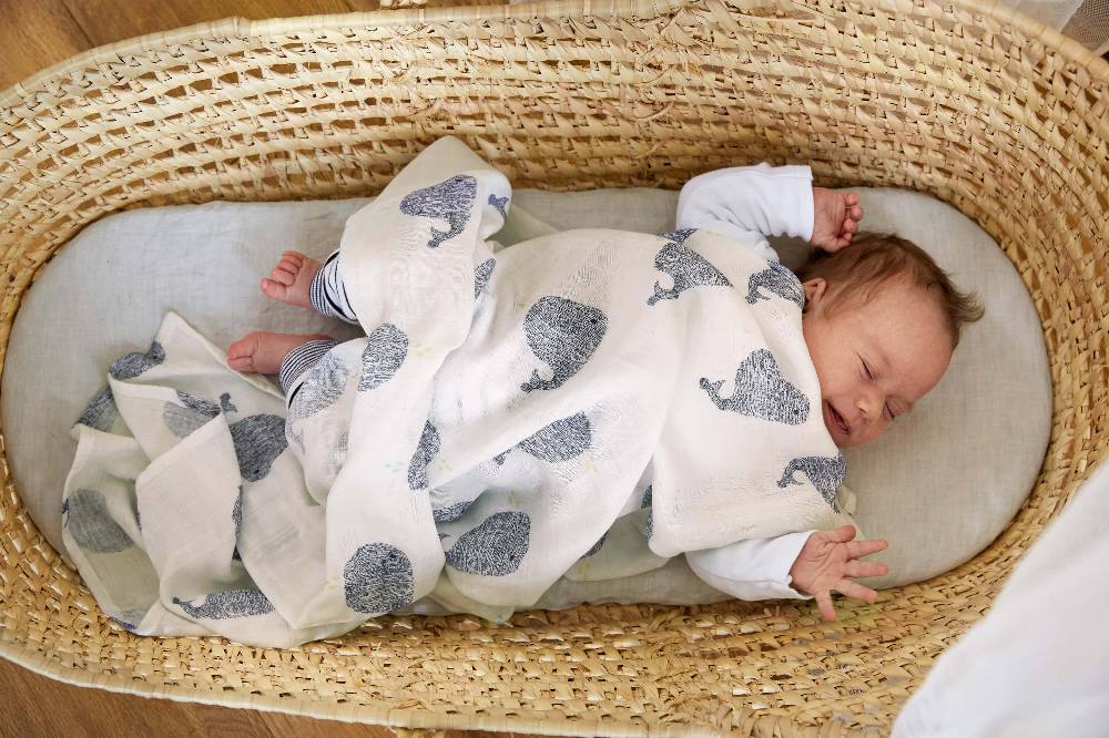 Lässig Mulltücher (2 Stk) - Heavenly Soft Swaddle XL, Little Water Whale Kauf eins, bekomm eins gratis