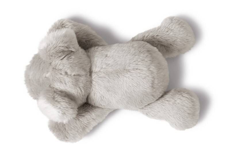 NICI Magnettier Koala Kaola Heißer Verkauf