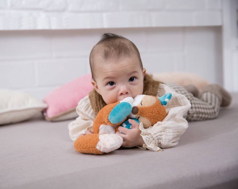 NICI Kuscheltier Gans Gilli Valentinstagsangebot