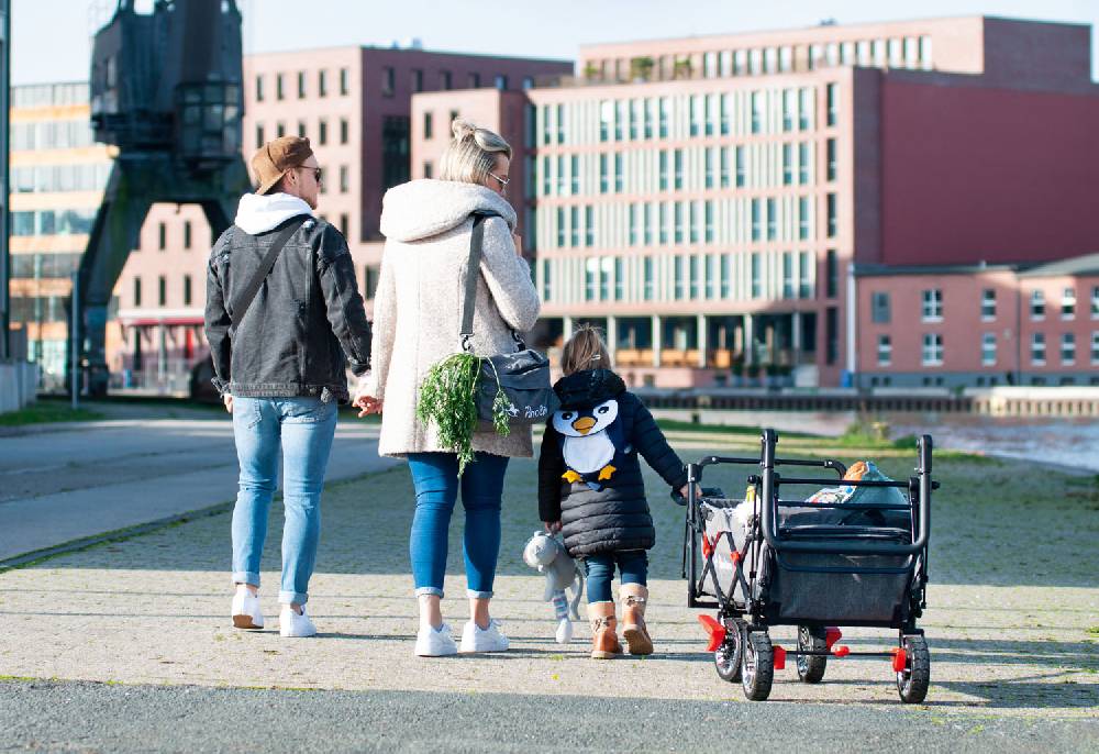 Pinolino Klappbollerwagen 'AddPlus' mit Bremse, grau meliert Kostenloser Versand international