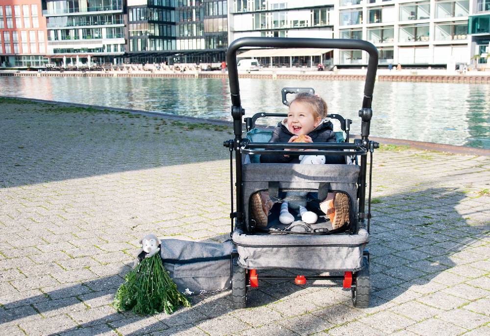 Pinolino Klappbollerwagen 'AddPlus' mit Bremse, grau meliert Kostenloser Versand international