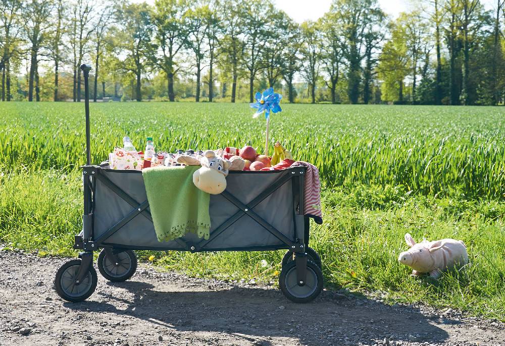 Pinolino Klappbollerwagen 'Porti', grau - Auslaufartikel Flash Sale