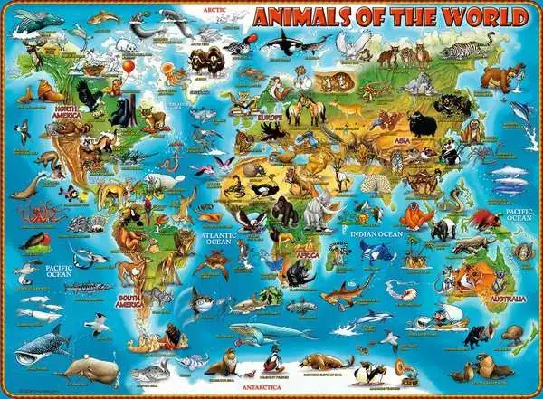 Ravensberger Matratzen Kinderpuzzle ab 9 Jahren - Tiere rund um die Welt - 300 Teile Begrenztes Angebot