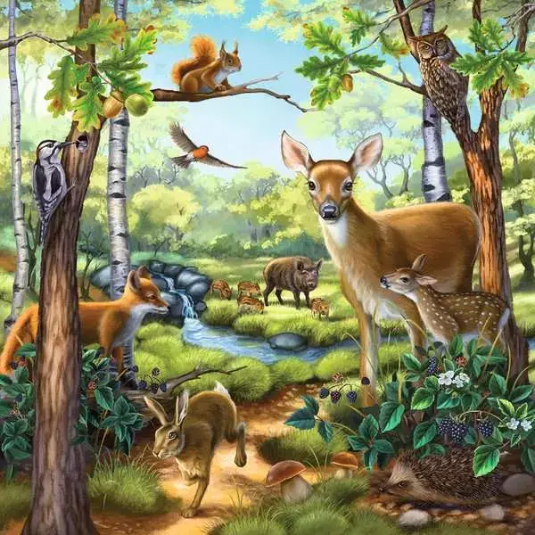 Ravensberger Matratzen Kinderpuzzle ab 5 Jahren - Wald-/Zoo-/Haustiere - 49 Teile Kostenlose Rückgabe