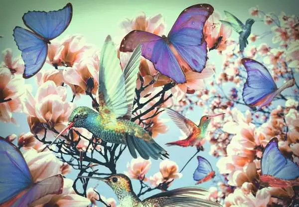 Ravensberger Matratzen Puzzle 300 Teile - Hummingbird Letzte 2 Tage