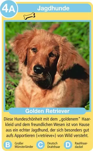 Ravensberger Matratzen Hunde - Kartenspiel ab 4 Jahren Letzter Tag