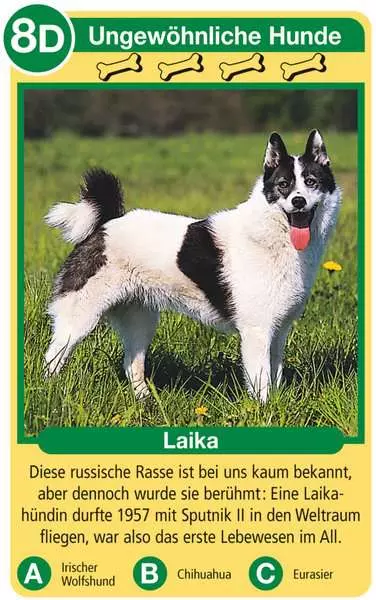 Ravensberger Matratzen Hunde - Kartenspiel ab 4 Jahren Letzter Tag