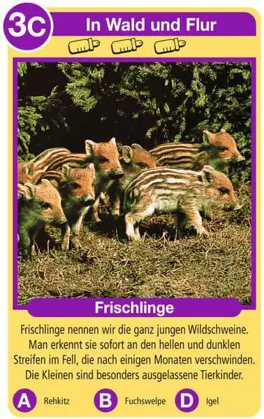 Ravensberger Matratzen Tierkinder - Kartenspiel ab 4 Jahren Günstig kaufen