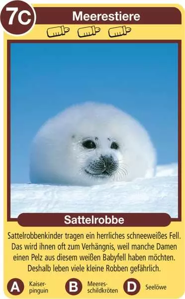 Ravensberger Matratzen Tierkinder - Kartenspiel ab 4 Jahren Günstig kaufen