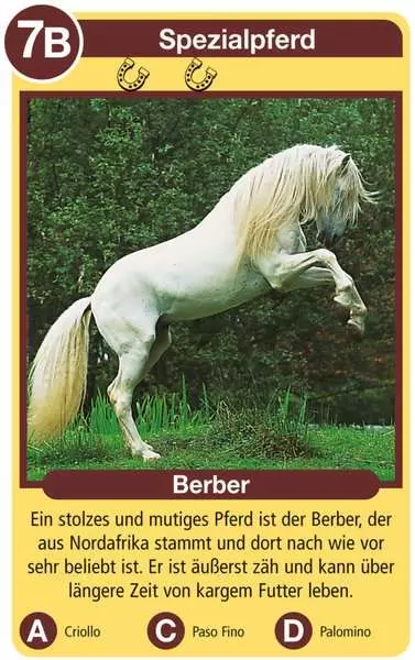 Ravensberger Matratzen Pferde - Kartenspiel ab 4 Jahren Flash Sale