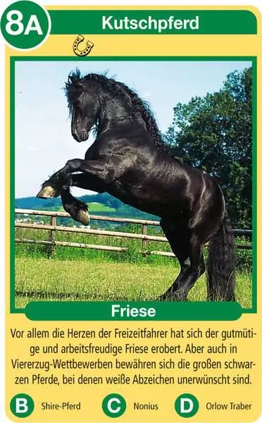 Ravensberger Matratzen Pferde - Kartenspiel ab 4 Jahren Flash Sale