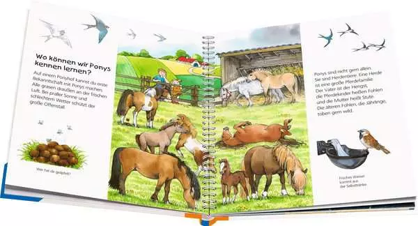 Ravensberger Matratzen Ravensburger Wieso? Weshalb? Warum? junior, Band 20: Das Pony Vierteljährliche Förderung