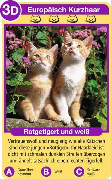Ravensberger Matratzen Katzen - Kartenspiel ab 4 Jahren Meist gekauft