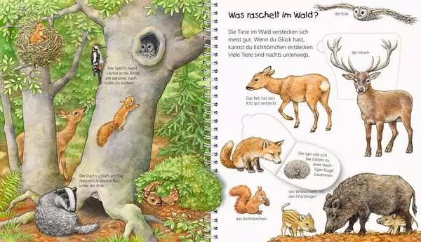 Ravensberger Matratzen Ravensburger Wieso? Weshalb? Warum? Mein junior-Lexikon: Tiere Günstig kaufen