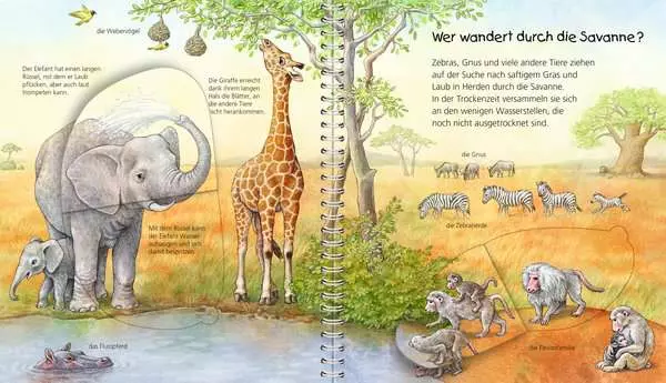 Ravensberger Matratzen Ravensburger Wieso? Weshalb? Warum? Mein junior-Lexikon: Tiere Günstig kaufen