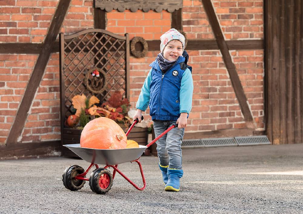 Rolly Toys rollyMetallschubkarre Super Sparpreis