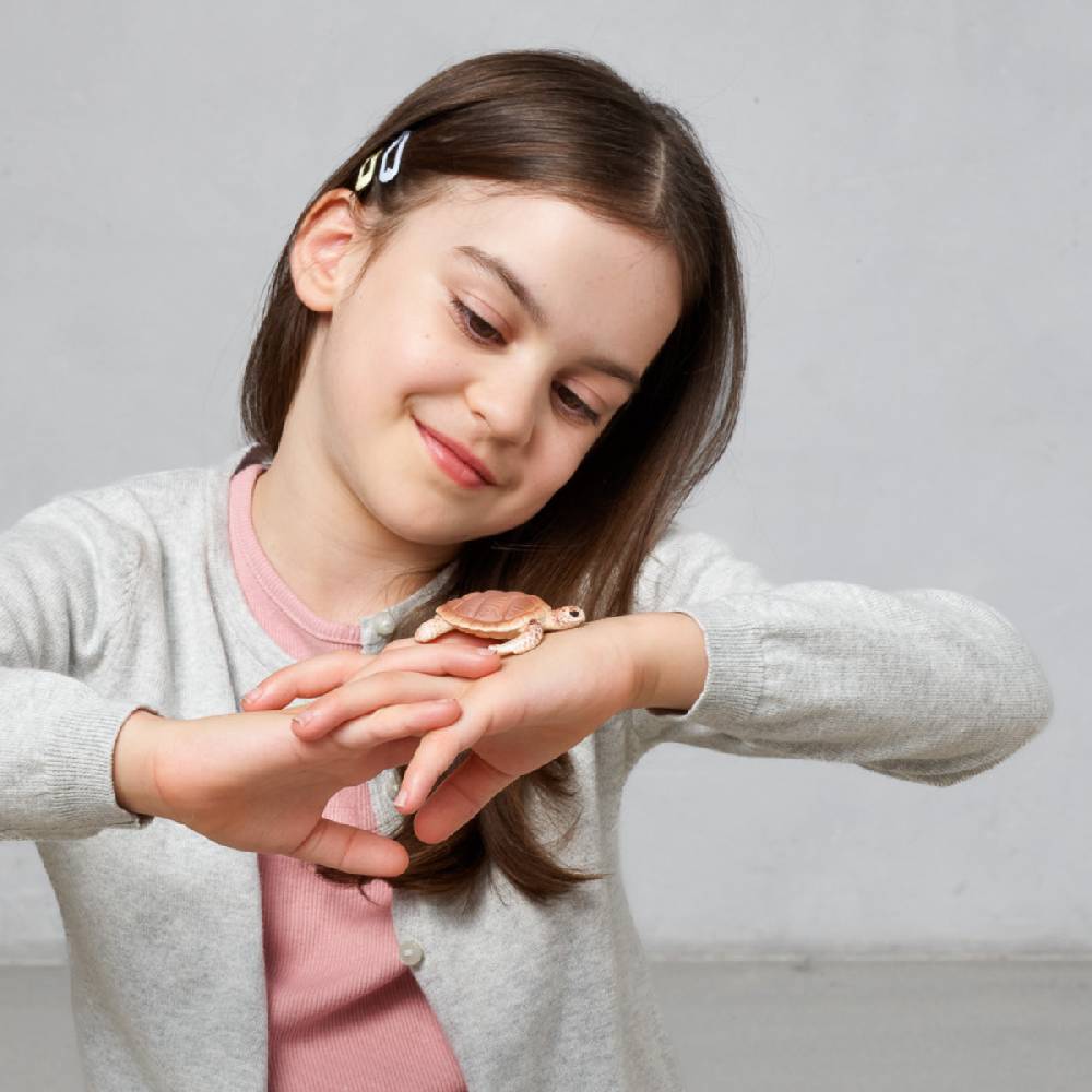 Schleich Echte Karettschildkröte (circular) 50% Rabatt für begrenzte Zeit