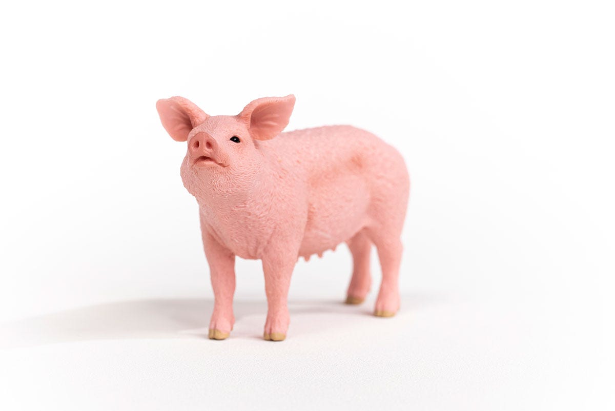 Schleich Schwein Discount Store für neue Produkte