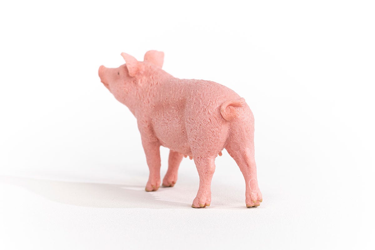 Schleich Schwein Discount Store für neue Produkte