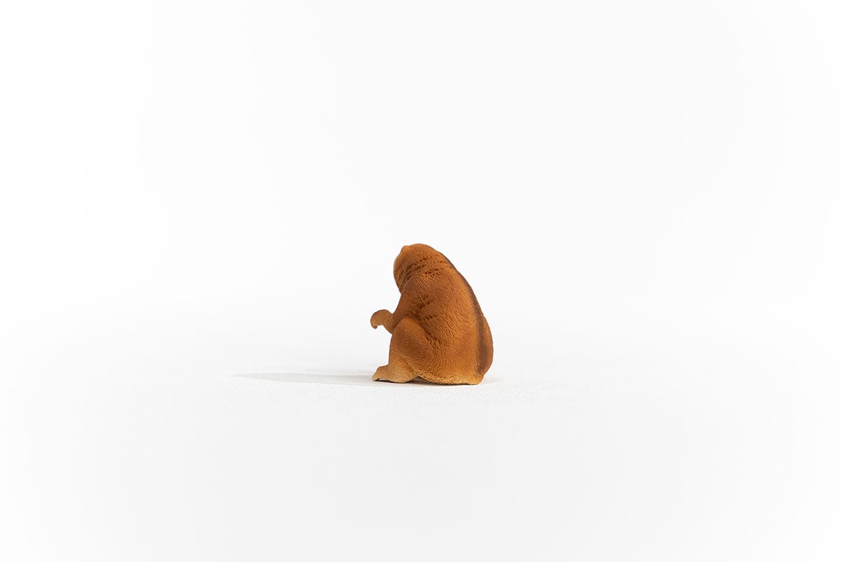 Schleich Plumplori Kauf eins, bekomm eins gratis