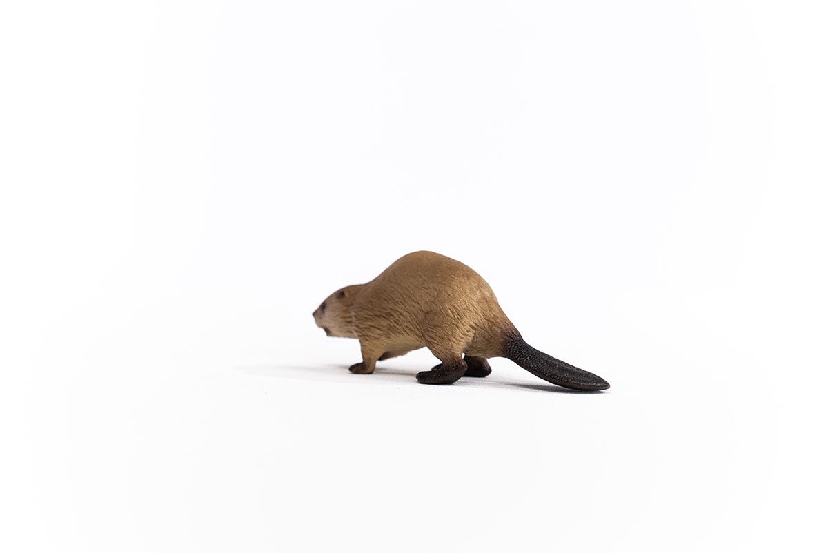Schleich Biber Riesige Ersparnisse