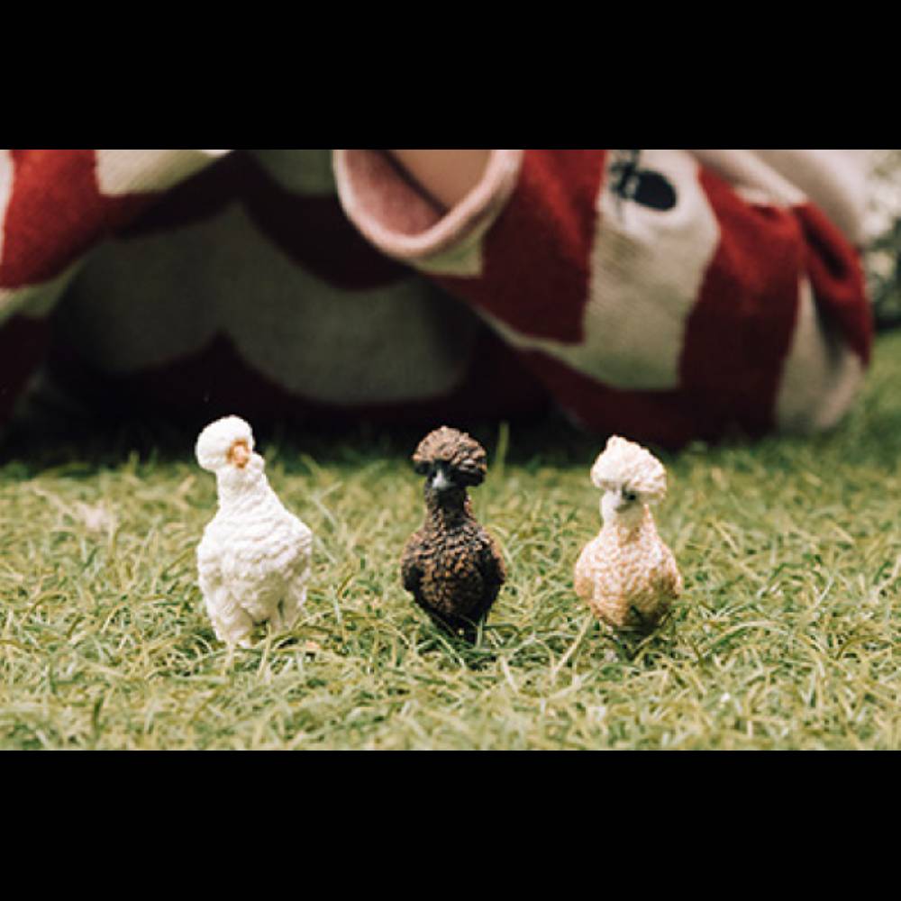 Schleich Hühnerfreunde Letzter Tag