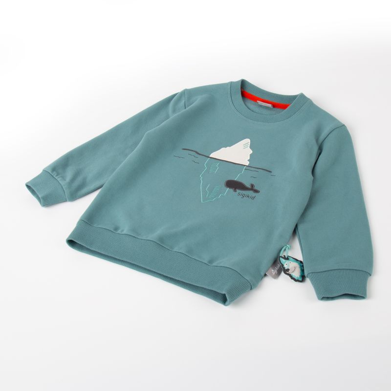 Sigikid Kinder Sweatshirt Polar Expedition, türkis Outlet