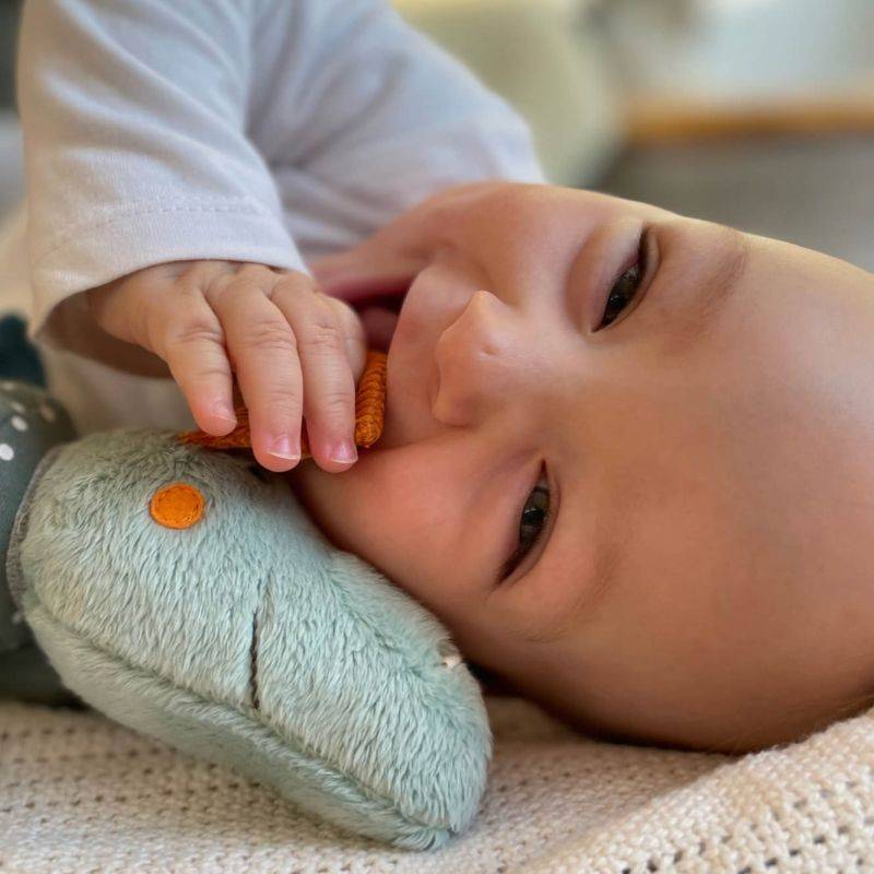 Sigikid Baby Aktiv Klettdrache Valentinstagsangebot
