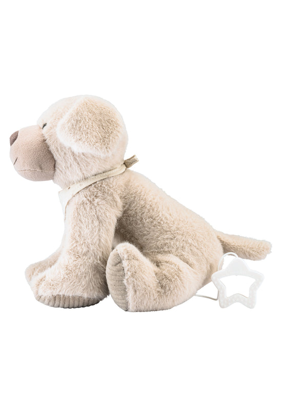 Sterntaler Spieluhr Hund Lucky in graubeige, groß Vatertagsangebot