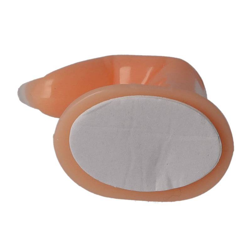 Sun Garden Nails Übungsfinger für Tips und Schablone Fabrikpreis