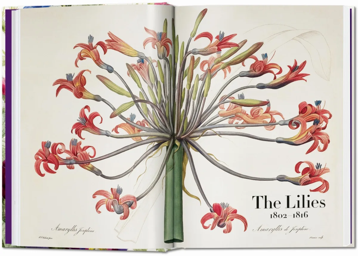 TASCHEN Redouté. The Book of Flowers. 40th Ed Bis zu 60% Rabatt