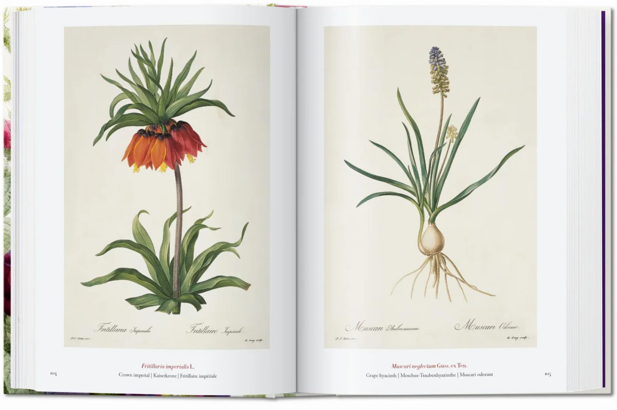 TASCHEN Redouté. The Book of Flowers. 40th Ed Bis zu 60% Rabatt
