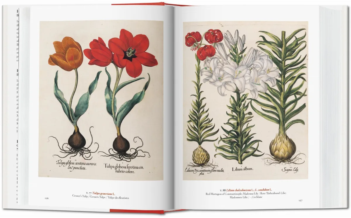 TASCHEN A Garden Eden. Masterpieces of Botanical Illustration. 40th Ed Discount Store für neue Produkte