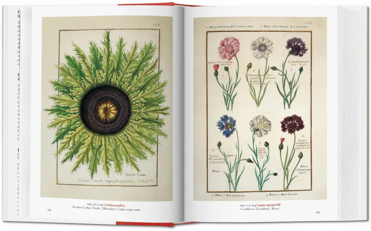 TASCHEN A Garden Eden. Masterpieces of Botanical Illustration. 40th Ed Discount Store für neue Produkte