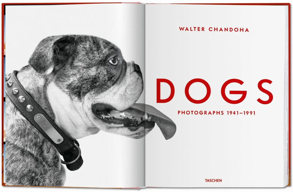 TASCHEN Walter Chandoha. Dogs. Photographs 1941–1991 Schlussverkauf