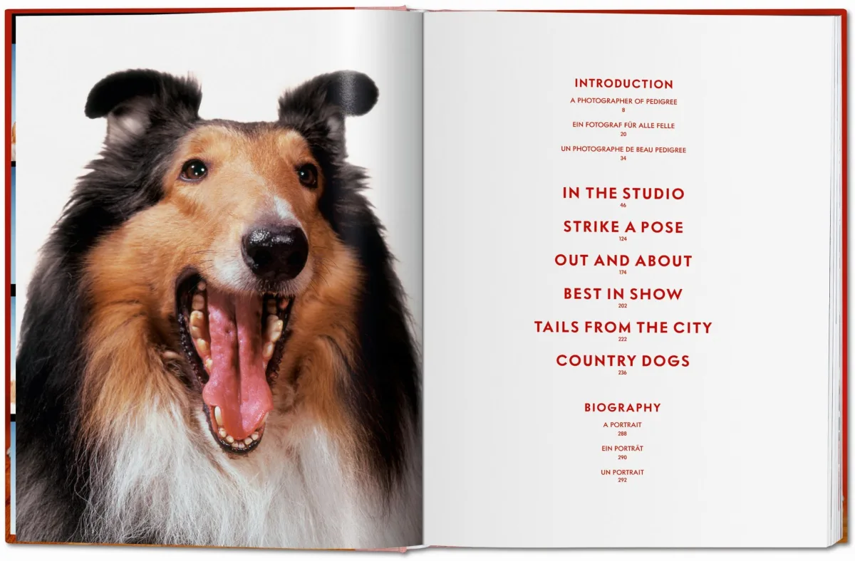 TASCHEN Walter Chandoha. Dogs. Photographs 1941–1991 Schlussverkauf