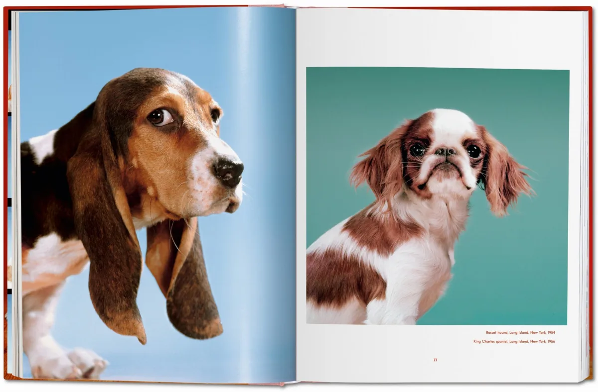 TASCHEN Walter Chandoha. Dogs. Photographs 1941–1991 Schlussverkauf