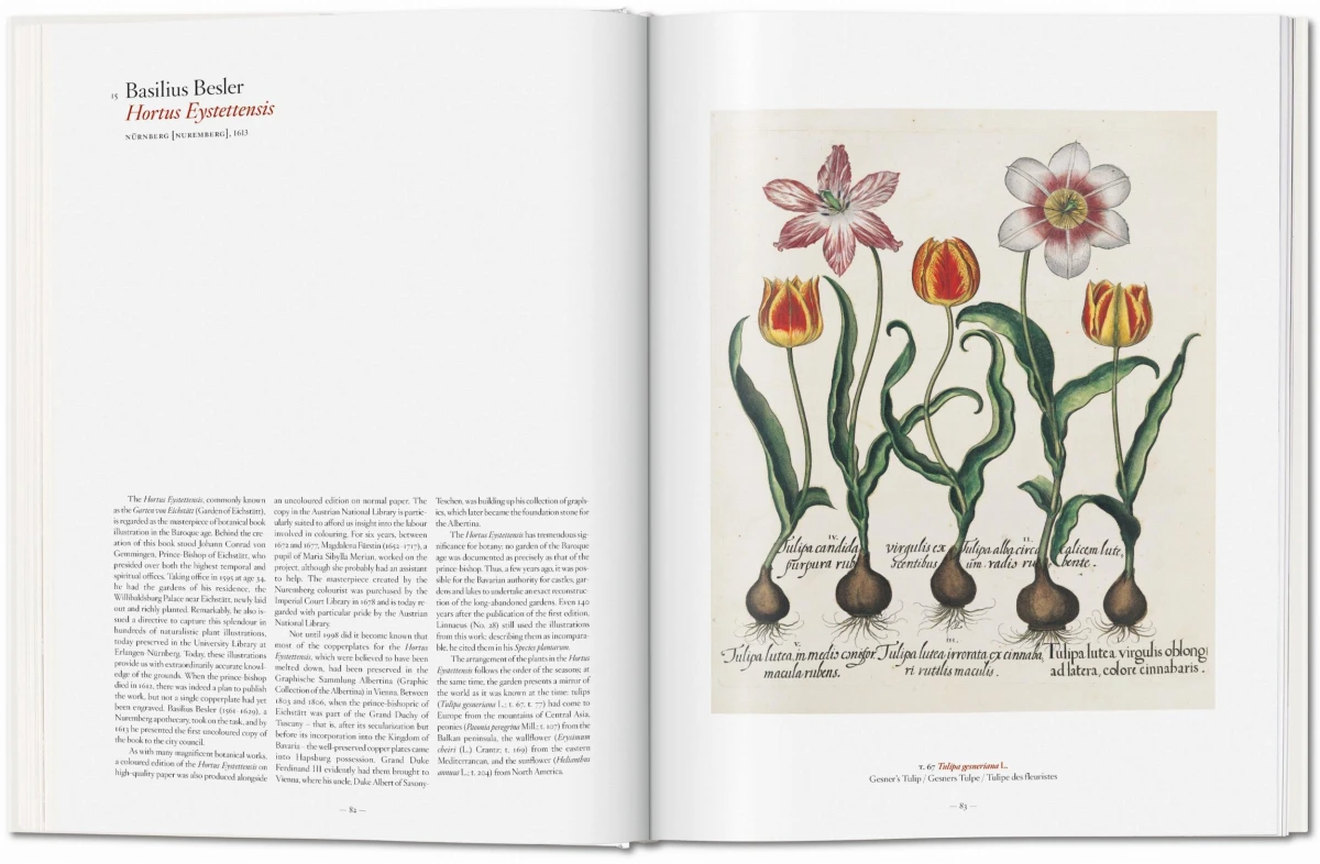 TASCHEN A Garden Eden. Masterpieces of Botanical Illustration Günstiger Verkauf