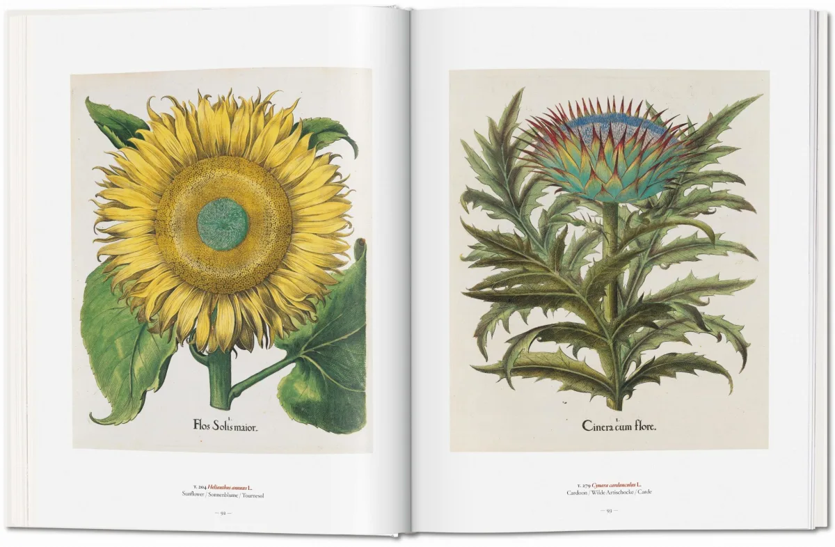 TASCHEN A Garden Eden. Masterpieces of Botanical Illustration Günstiger Verkauf