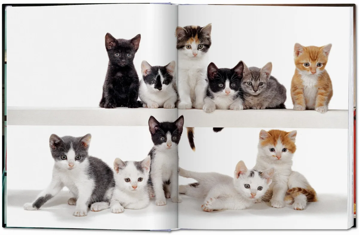 TASCHEN Walter Chandoha. Cats. Photographs 1942–2018 Fabrik Onlineshop