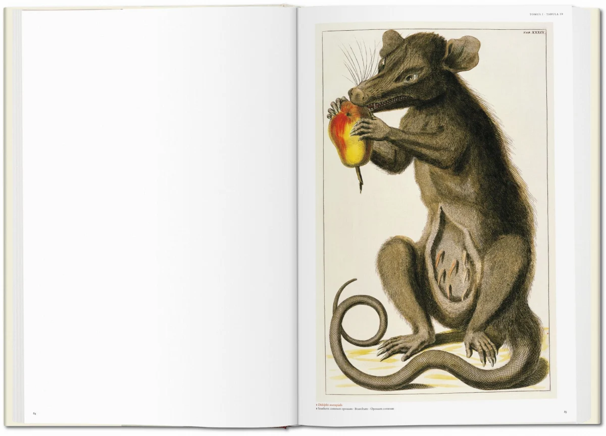 TASCHEN Seba. Cabinet of Natural Curiosities Exklusivangebot