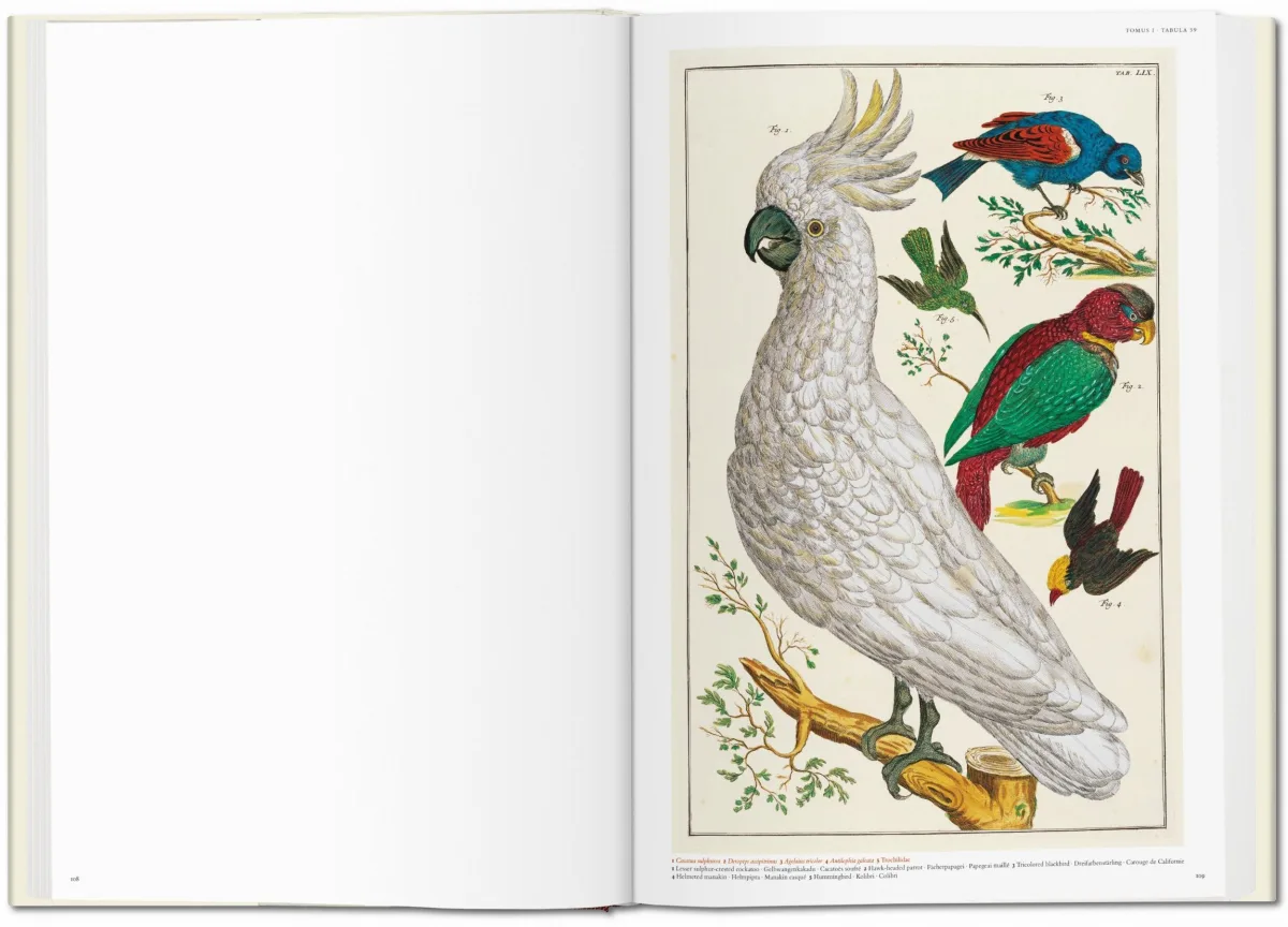 TASCHEN Seba. Cabinet of Natural Curiosities Exklusivangebot
