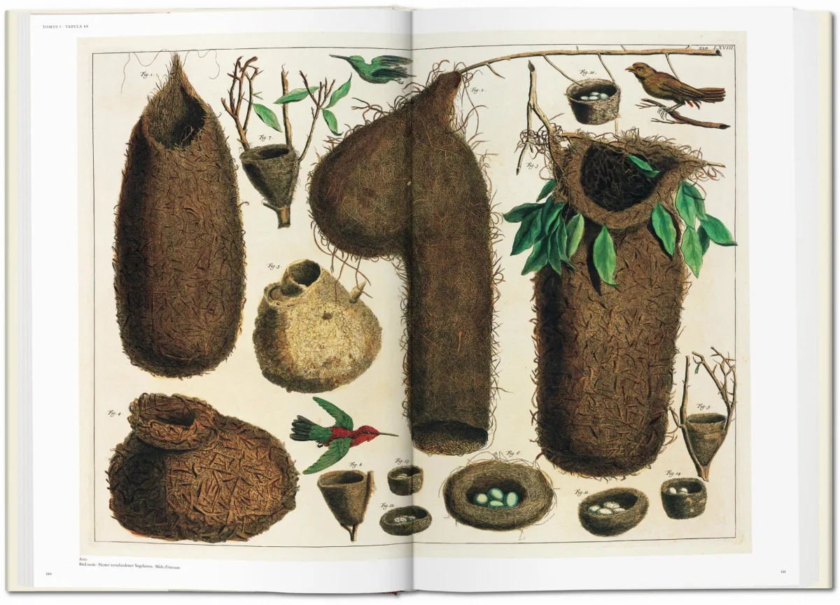 TASCHEN Seba. Cabinet of Natural Curiosities Exklusivangebot
