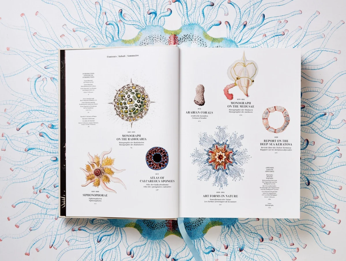 TASCHEN The Art and Science of Ernst Haeckel Osterangebot