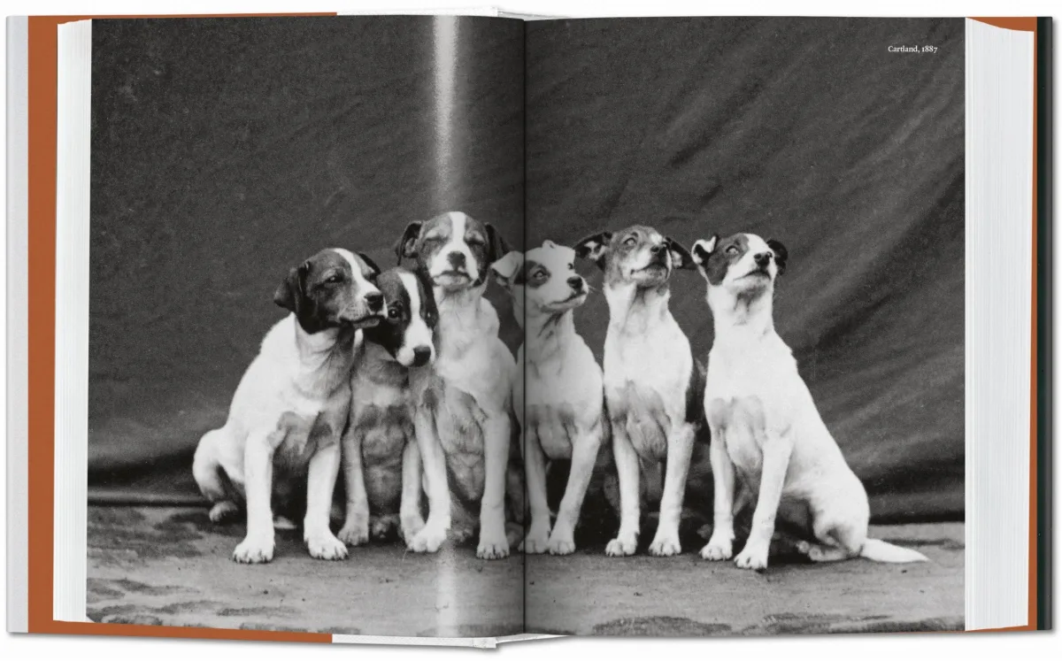 TASCHEN The Dog in Photography 1839–Today Black Friday