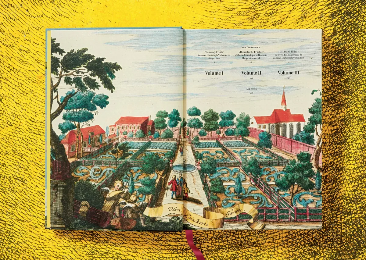 TASCHEN J. C. Volkamer. The Book of Citrus Fruits Osterangebot